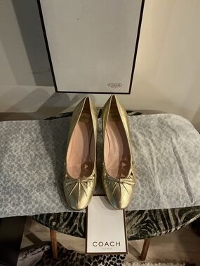 Coach Women’s Gold Ballet heels